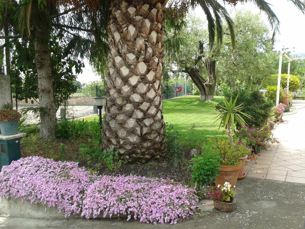 Villa Etna Piedimonte Etneo Dış mekan fotoğraf