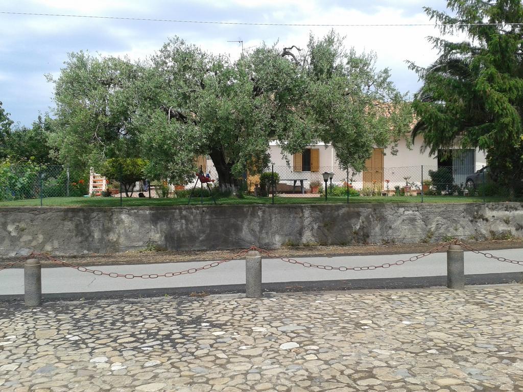 Villa Etna Piedimonte Etneo Dış mekan fotoğraf